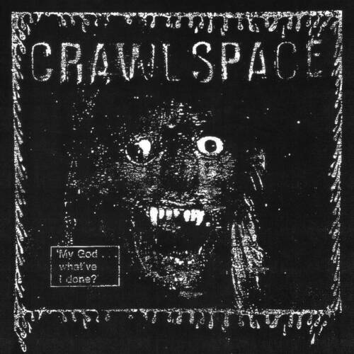 Crawl Space "My God...WhatVe I Done?" Lp